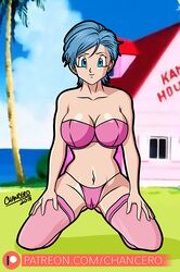 bulma briefs from dragon ball by chancero