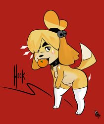 2018 animal_crossing anthro breasts buckteeth canine choker clothing digital_media_(artwork) dot_eyes eating female fur furry isabelle_(animal_crossing) legwear looking_at_viewer mammal naked_stockings navel newd nintendo nipples nude open_mouth pussy red_background simple_background slightly_chubby standing stockings teeth thigh_highs thighhighs video_games yellow_fur