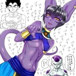 beerus from dragon ball