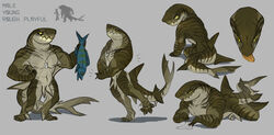 animal_genitalia anthro anthro_only biceps brown_skin claspers dog_tags fish flexing furry looking_at_viewer lying male marine model_sheet muscular muscular_male no_humans nude pecs raudegil shark shark_tail simple_background sitting solo standing tongue tongue_out