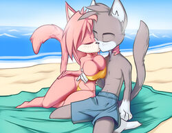 2013 aeris_(vg_cats) anthro beach big_breasts breasts cleavage closed_eyes clothed clothing detailed_background digital_media_(artwork) domestic_cat duo felid feline felis female grey_hair hair kissing leo_(vg_cats) male mammal navel nipple_outline nipples on_towel outside pink_hair romantic_couple sand seaside sky straight swimwear thefuckingdevil towel vg_cats water webcomic wide_hips