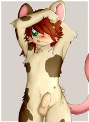 2018 anthro balls blush brown_fur brown_hair fur green_eyes grey_background hair log_(artist) looking_at_viewer male male_only mammal mouse nude one_eye_closed penis red_nose rodent simple_background solo standing tongue tongue_out uncut