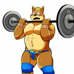 anthro blush briefs canine clothing cum cum_through_clothing ejaculation erection exercise kenta_shiba_(character) male male_only mammal navel nipples open_mouth pubes shiba-kenta shiba_inu simple_background teeth underwear weightlifting white_background workout