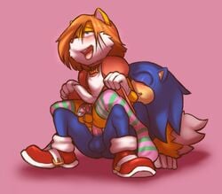 anal boots canine chastity_cage clothing dicksitting dress femboy footwear fox fucked_silly furry girly gloves hedgehog legwear male mammal namelessenemy penetration sonic_(series) sonic_the_hedgehog stockings tails yaoi