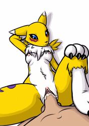 1boy 1girls 2019 absurd_res anthro anthro_penetrated balls blue_eyes blush bodily_fluids breasts canid canine claws cum cum_in_pussy cum_inside digimon digimon_(species) digiphilia digital_media_(artwork) duo female female_focus fur genital_fluids haiiromon hi_res human human_on_anthro human_penetrating human_penetrating_anthro interspecies male male_on_anthro mammal nipples nude penetration penis pussy renamon sex shounen_jump simple_background straight vaginal_penetration white_fur yellow_fur