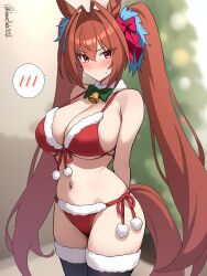 daiwa scarlet (umamusume) from christmas by hanafuda (hanafuda0116)