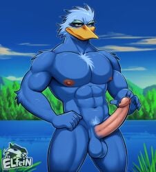 abs anatid anseriform anthro antidaeon avian balls big_penis bird blue_body blue_feathers chaotic chest_tuft day duck elfein erection eyebrows feathers genitals glans hand_on_hip hi_res humanoid_genitalia humanoid_penis lake looking_at_viewer male male_only muscular muscular_anthro muscular_male nature pecs penis plant pubes sky solo tree tuft water