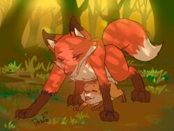 1boy abdominal_bulge age_difference all_fours ambiguous_gender ambiguous_penetration animated balls brown_fur canine closed_eyes cub cum cum_inside doggy_style duo father father_and_daughter father_penetrating_daughter female feral feral_on_feral forest fox from_behind_position front_view furry green_eyes half-closed_eyes heart incest krazyelf larger_male loop male mammal open_mouth orange_fur outdoors parent paws penis sex signature size_difference source_request stomach_bulge straight testicles text toes tree watermark young
