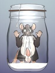 absurd_res anthro balls bodily_fluids container cum cum_drip cum_in_container cum_in_jar cum_on_face cum_on_penis dripping erection fur genital_fluids genitals grey_body hi_res jar looking_at_viewer male male_only mammal milk_(rodentmilk) murid murine penis rat rodent solo spyromancer surprised_expression tail