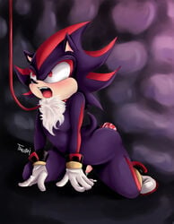 anal collar cum curry5 dildo gay kukkiisart leash penis shadow_the_hedgehog sonic_(series)