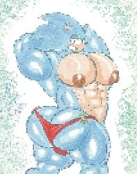 ass big_nipples blue_fur dithering furryonline1 hedgehog looking_at_viewer looking_back male male_only muscular muscular_male nipples pixel_art pixelated red_thong sega sonic_(series) sonic_the_hedgehog sonic_the_hedgehog_(series) thong