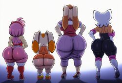 amy rose from sonic (series)