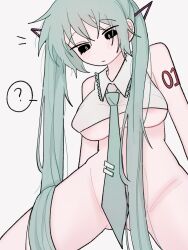 hatsune miku from vocaloid by ccitrus0