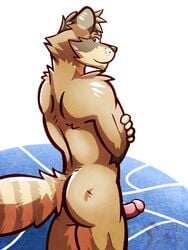 2018 alax anthro ass back_muscles crossed_arms digital_media_(artwork) erection fur hair looking_at_viewer looking_back male male_only mammal muscular nude penis raccoon rear_view simple_background smile solo standing ventkazemaru