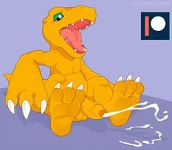 agumon anthro bald balls barefoot claws cum cum_on_ground cumshot cute digimon dinosaur drooling ejaculation erection green_eyes hands-free humanoid_penis male male_only nude on_ground open_mouth orange_skin orgasm pecs penis saliva scalie shadowpelt sharp_claws sharp_teeth sitting slightly_chubby solo teeth toe_claws tongue uncut