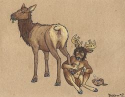 2015 anthro antlers anus cervine cervine_pussy clothing eating elk female feral hooves horn loincloth looking_back male mammal pussy teats washing