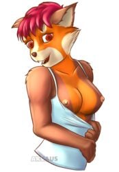 anthro arvaus breasts female female_only flashing fur furry looking_at_viewer mei_(arvaus) nipples red_panda shirt_pull solo