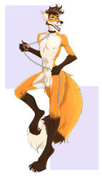 balls black_nose brown_hair canine chains collar fox game_(disambiguation) green_eyes hair invalid_tag male mammal navel nipples nude open_mouth playful ramaelfox sketch tairak teeth yaoi