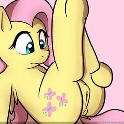 2016 anus ass cutie_mark equine feathered_wings feathers female feral fluttershy_(mlp) friendship_is_magic fur hair hi_res legs_up lying mammal my_little_pony neighday on_back pegasus pink_background pink_hair pussy simple_background solo wings yellow_feathers yellow_fur