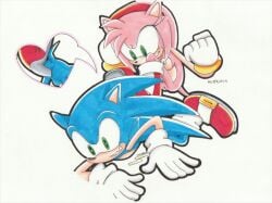 amy_rose cumming_while_penetrated female/male female_penetrating_male femdom heel_in_ass heel_insertion male_penetrated misshiirin sonic_(series) sonic_the_hedgehog sonic_the_hedgehog_(series)