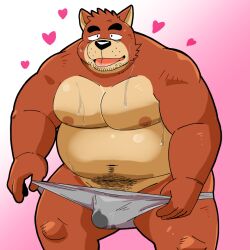 2024 anthro belly big_belly black_nose bodily_fluids brown_body bulge canid canine canis clothing domestic_dog heart_symbol kemono male mammal moobs navel nipples overweight overweight_male shiba-kenta simple_background solo sweat underwear