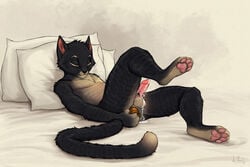 anal anal_masturbation anal_sex anchee anthro balls closed_eyes cum cum_on_balls dildo feline male male_only mammal masturbation paws penetration penis ragark sex_toy solo