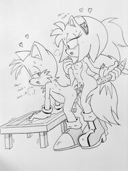 amy rose from sonic (series) by randomguy999