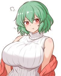 :t alternate_costume bare_shoulders blush breasts cloak commentary_request female green_hair highres huge_breasts kazami_yuuka looking_at_viewer mizusoba pout red_cloak red_eyes short_hair simple_background solo sweatdrop sweater sweater_vest touhou turtleneck turtleneck_sweater upper_body white_background white_sweater_vest yuka_kazami