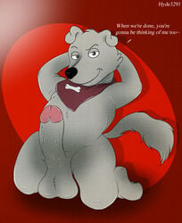 anthro balls bandana canine dialogue erection family_guy fur grey_fur humanoid_penis hyde3291 kneeling looking_at_viewer male male_only mammal new_brian penis pose presenting presenting_penis red_background simple_background smile solo