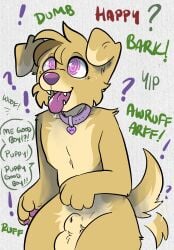 anthro bird_dog bodily_fluids canid canine canis collar control_collar domestic_dog drooling dumbification dumbification_to_dog_brain femboy floppy_ears fur golden_retriever hi_res hunting_dog hypnosis iq_loss jack_(synthet1c) kneeling male male/male mammal mind_control open_mouth pawpads pink_nose pink_pawpads pink_tongue retriever saliva solo spiral spiral_eyes synthet1c tagme tail tail_motion tailwag tongue yellow_body yellow_fur