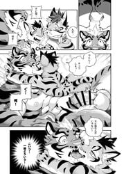 2018 anthro balls censored clouded_leopard comic erection feline japanese_text kissing kumak71395 leopard leopard_cat likulau lin_hu male male_only mammal nekojishi nude penis shu-chi text tiger translation_request