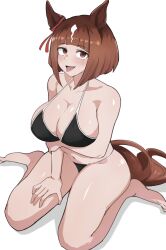 transcend (umamusume) from umamusume by miya nns35