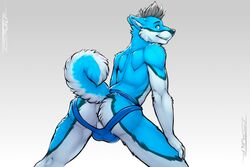 anthro ass blue_eyes bulge canine claws clothing fur hair husky jockstrap looking_back male male_only mammal mostly_nude presenting presenting_hindquarters smile solo spread_legs spreading standing teeth tsaiwolf underwear