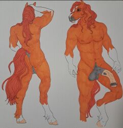 animal_genitalia animal_penis anthro equid equine equine_genitalia equine_penis fur genitals hair horse junquillo_mac male male_only mammal mature_male mireina model_sheet muscular muscular_male orange_body orange_fur orange_hair penis solo solo_focus