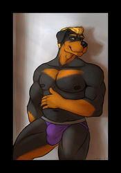 1boy 2018 amber_eyes anthro belly biceps black_fur black_nose blonde_hair brown_fur bulge canine clothing digital_media_(artwork) fur hair ishiga-san jockstrap looking_at_viewer male male_only mammal multicolored_fur muscular muscular_male nipples pecs purple_underwear rottweiler simple_background smile solo two_tone_fur underwear