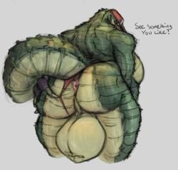 alligator alligator_lady_(slorp_art) alligatorid anthro anus balls big_balls breasts crocodilian genitals gynomorph hi_res huge_balls intersex looking_at_viewer looking_back looking_back_at_viewer presenting raised_tail reptile scalie slorp_art solo tail tail_anus