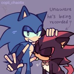 anthro closed_eyes collar copii_chaotix duo ear_piercing fellatio gay half-closed_eyes hand_on_head looking_at_viewer male male/male narrowed_eyes oral penile piercing sega sex shadow_the_hedgehog sonadow sonic_(series) sonic_the_hedgehog sonic_the_hedgehog_(series) submissive submissive_male