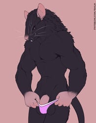 2018 5_fingers abs anthro balls biceps buck_teeth clothing digital_media_(artwork) fur hair hi_res humanoid_penis male male_only mammal muscular muscular_male nude panties pecs penis rat rodent scar shiuk simple_background solo teeth thong underwear whiskers