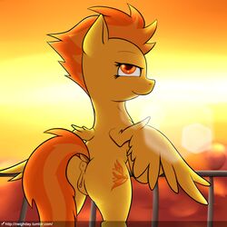 2016 amber_eyes anus ass bedroom_eyes clitoral_winking clitoris cutie_mark equine feathered_wings feathers female feral friendship_is_magic hair half-closed_eyes hi_res lens_flare looking_at_viewer looking_back mammal multicolored_hair my_little_pony neighday orange_hair outside pegasus pussy seductive solo spitfire_(mlp) two_tone_hair wings wonderbolts_(mlp) yellow_feathers