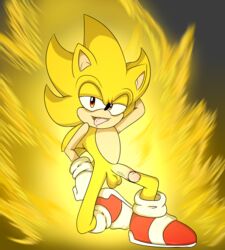 balls cel_shading hedgehog male male_only mammal nude penis pose remiraccoon sonic_(series) sonic_the_hedgehog sonic_the_hedgehog_(series) sonic_the_hedgehog_2 super_sonic testicles