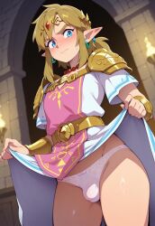 link from the legend of zelda