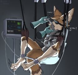 ambiguous_gender anthro blindfold bondage bondage bound brown_body brown_fur bulge canid canine clothing disembodied_hand doctor duo fennec_fox fox fur gag gagged gagging gloves grey_background handwear hi_res hierogreen latex latex_clothing latex_gloves latex_handwear male male/ambiguous mammal medical medical_gloves medical_play orange_body orange_fur pawpads paws restrained restraints simple_background straitjacket stuff_gag submissive submissive_anthro submissive_male suspension suspension_bondage tan_body tan_fur tape tape_gag true_fox