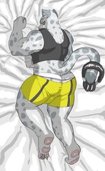 bulge clothing feline headphones jockstrap leopard lopland male male_only mammal muscular muscular_male ricky_landon shirt shorts snow_leopard tank_top underwear