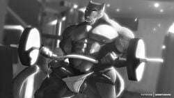 anthro balls big_pecs bulge clothing erection exercise feline gage_the_panther humanoid_penis looking_at_viewer male male_only mammal monochrome muscular muscular_male panther pecs penis precum solo standing thick_penis underwear weightlifting werethrope workout