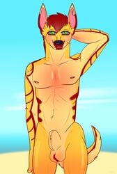 animal_genitalia anthro balls beach blush bull_terrier canine canine derick ear_piercing fur_pattern german_shepherd green_eyes looking_at_viewer male mammal nipple_piercing nipples nude piercing pose rpg-kitty sand seaside sheath shiny_fur shore sky solo standing