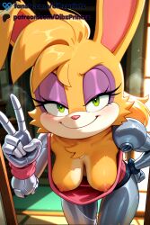 bunnie rabbot from sonic (series) by dibzprintz