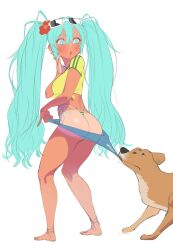 brazilian miku from vocaloid by puraraw