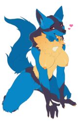 lucario from nintendo by fleet-foot