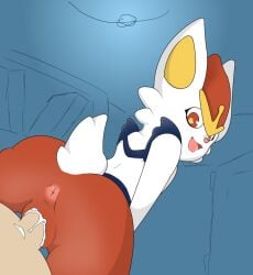 anthro anthro_penetrated anus ass bodily_fluids cinderace cum cum_in_vagina cum_inside duo female female_anthro female_penetrated fur generation_8_pokemon genital_fluids genitals human human_on_anthro human_penetrating human_penetrating_anthro human_penetrating_female interspecies looking_back malawrist male male/female male_human male_penetrating male_penetrating_anthro male_penetrating_female mammal nintendo penetration penile penile_penetration penis_in_vagina pokemon pokemon_(species) pokephilia red_body red_eyes red_fur sex simple_background vaginal_penetration vaginal_penetration vulva white_body white_fur
