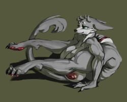 5:4 anthro backbend breasts canid canine claws contortionism feet female flexible fur genitals green_eyes grey_body grey_fur gyy mammal paws soles solo vaginal_penetration vulva